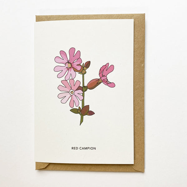 Wildflower Cards