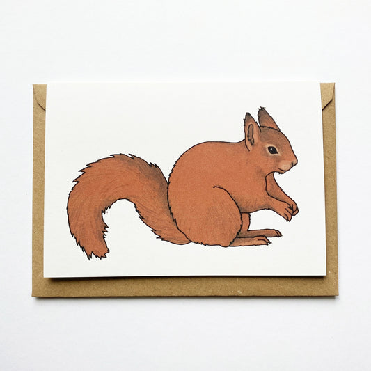Red Squirrel Illustrated Card