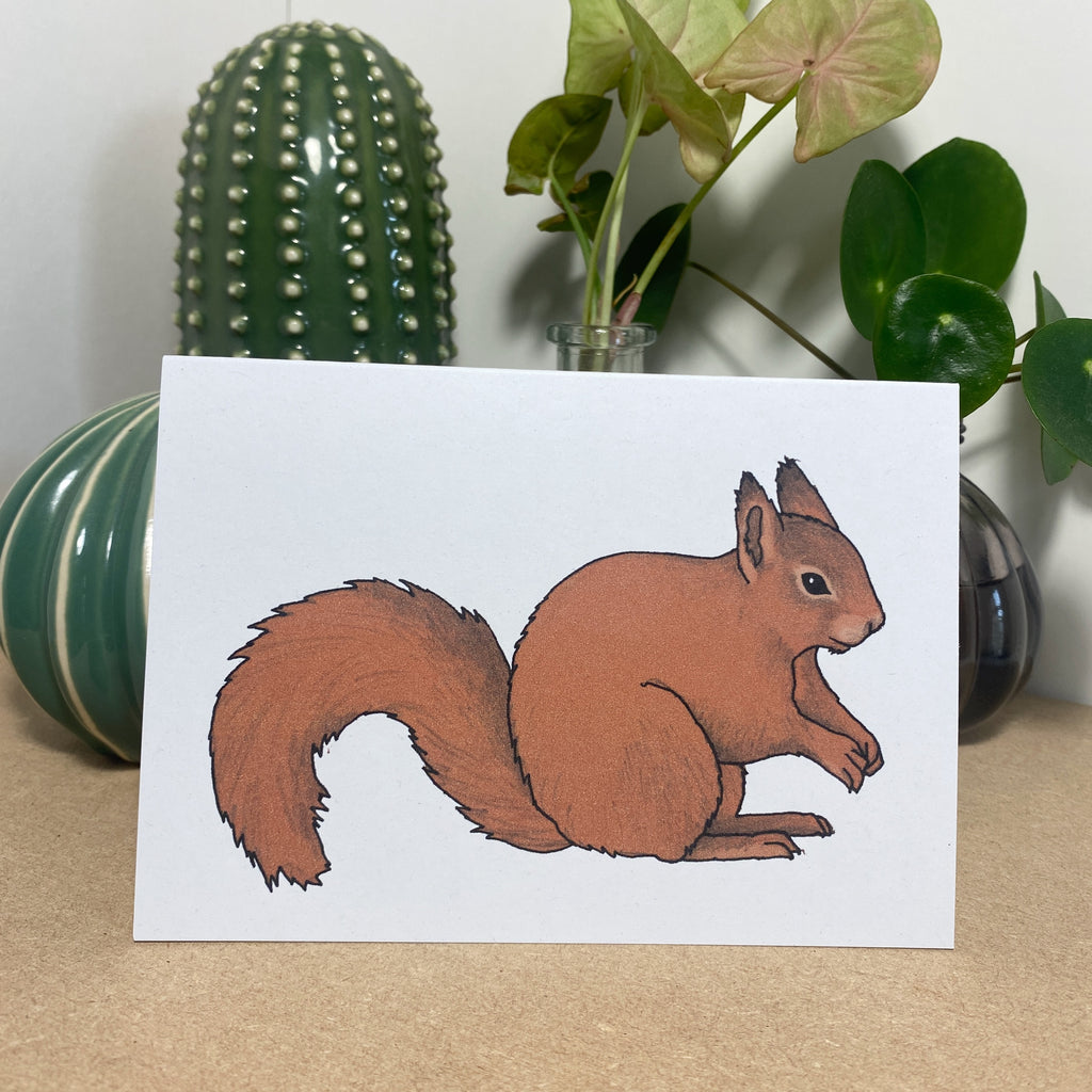 Red Squirrel Illustrated Card – katebroughton