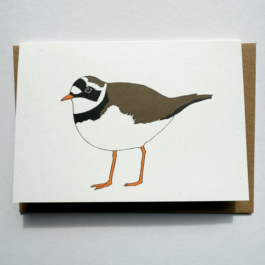 Ringed Plover Illustrated Card - katebroughton