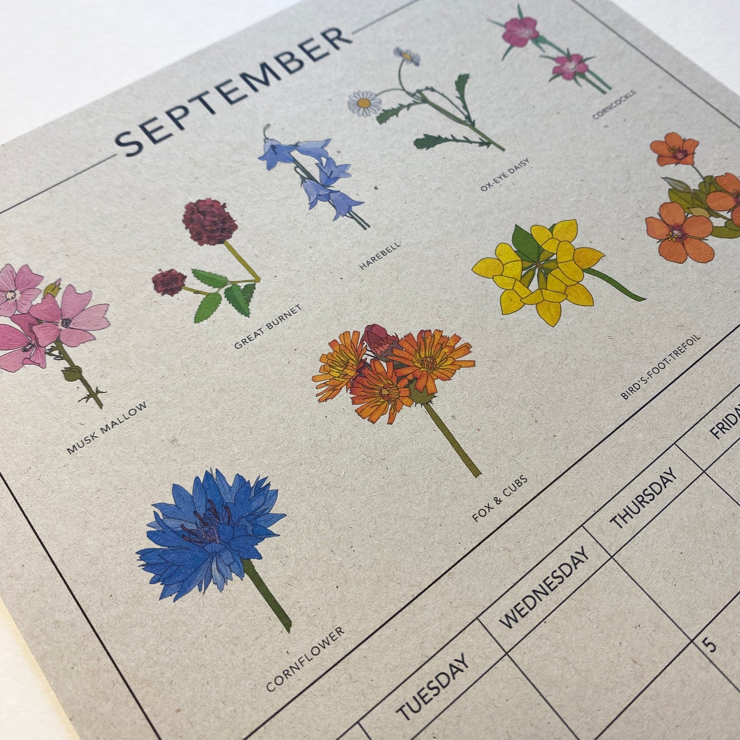 2024 Illustrated Wall Calendar