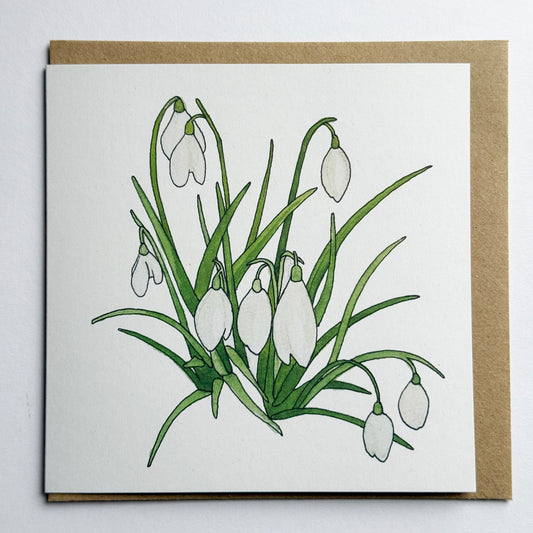 Snowdrops Card