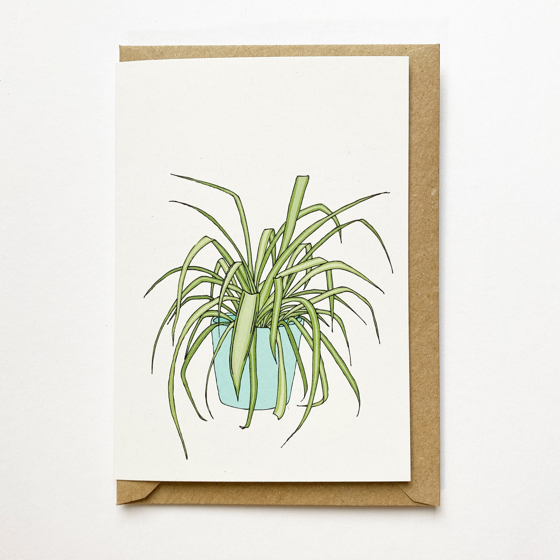 Spider Plant Card - katebroughton