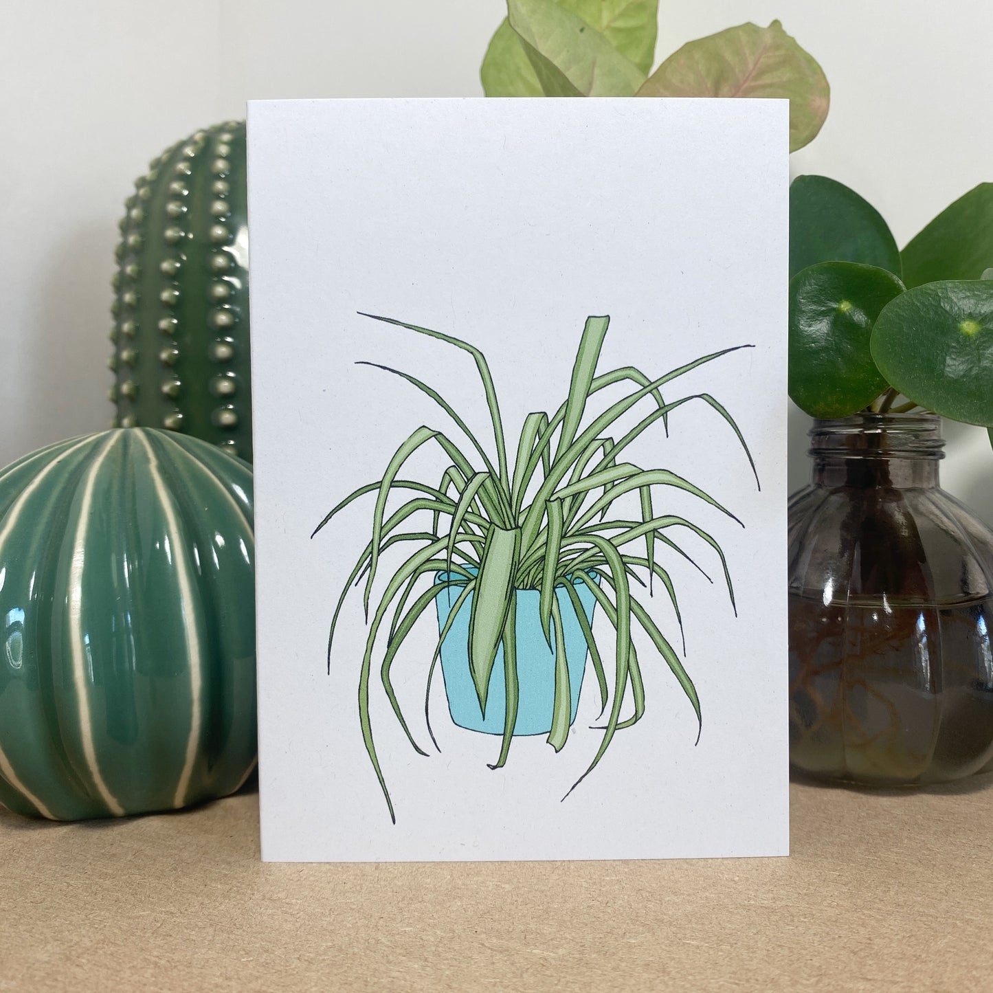 Spider Plant Card - katebroughton