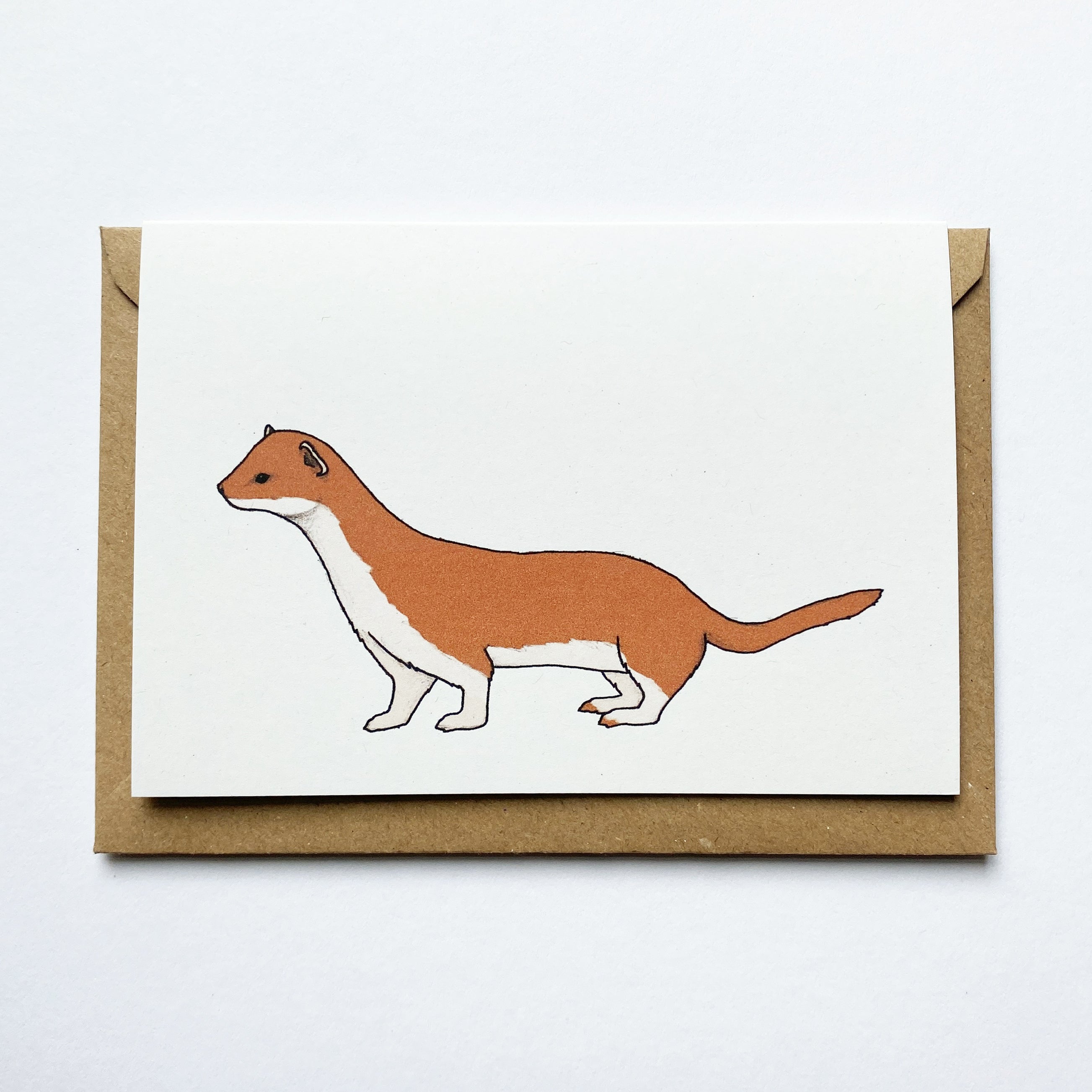 Stoat Illustrated Card – katebroughton