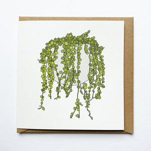 String of Pearls houseplant card