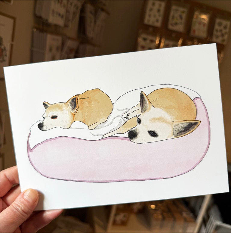 Pet portrait Illustration of two dogs by Kate Broughton