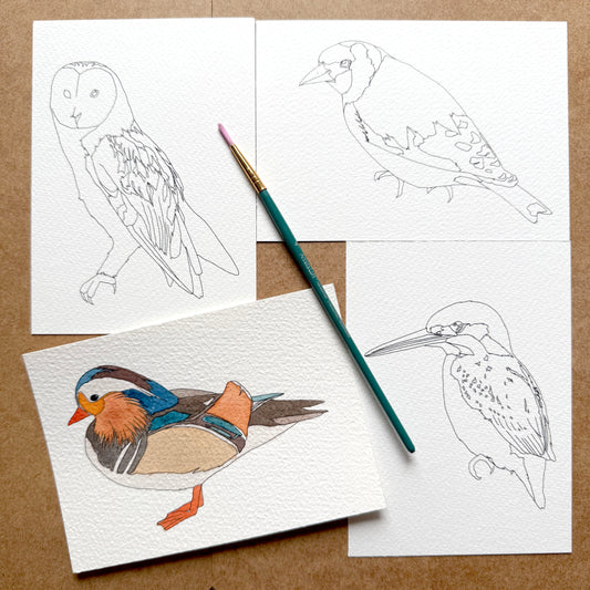 bird outlines on watercolour paper for you to paint yourself