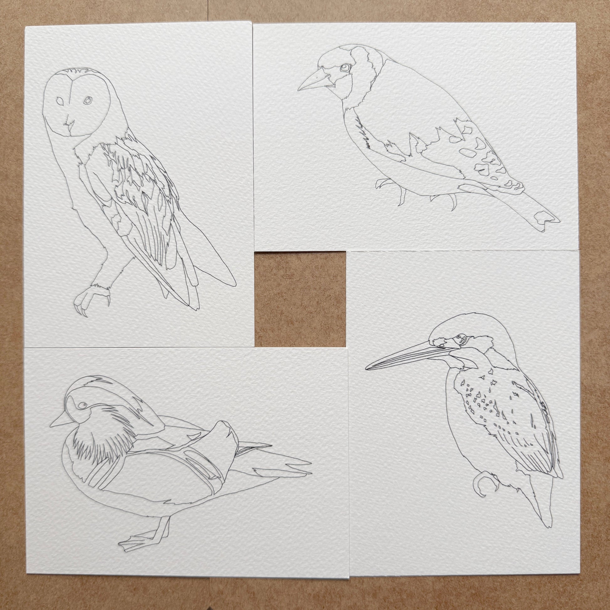 Four bird outline illustrations on a white watercolour paper to paint yourself