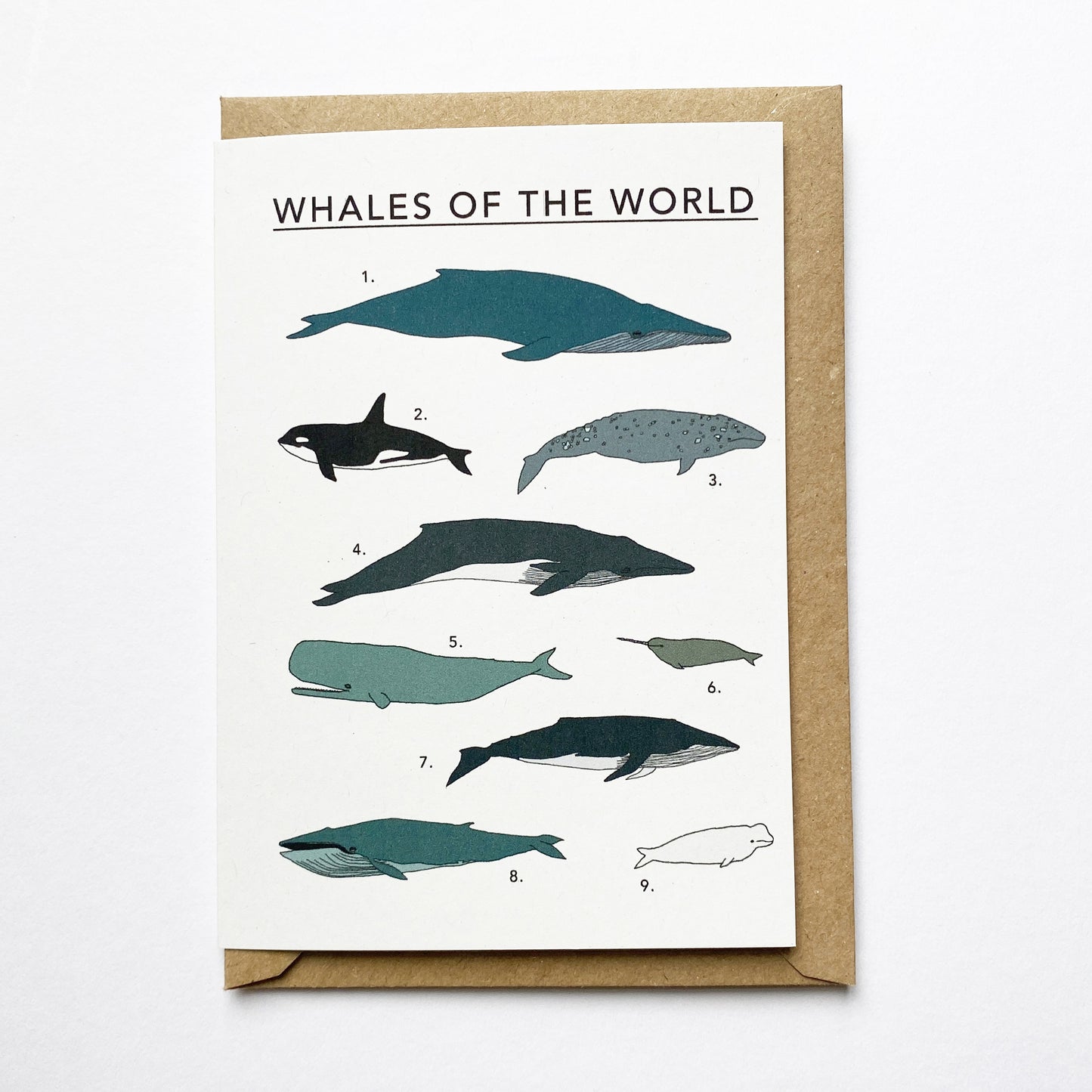 Whales of the World Illustrated Card - katebroughton