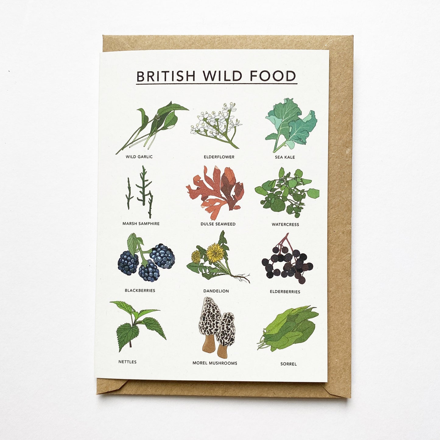 British Wild Food Illustrated Card - katebroughton