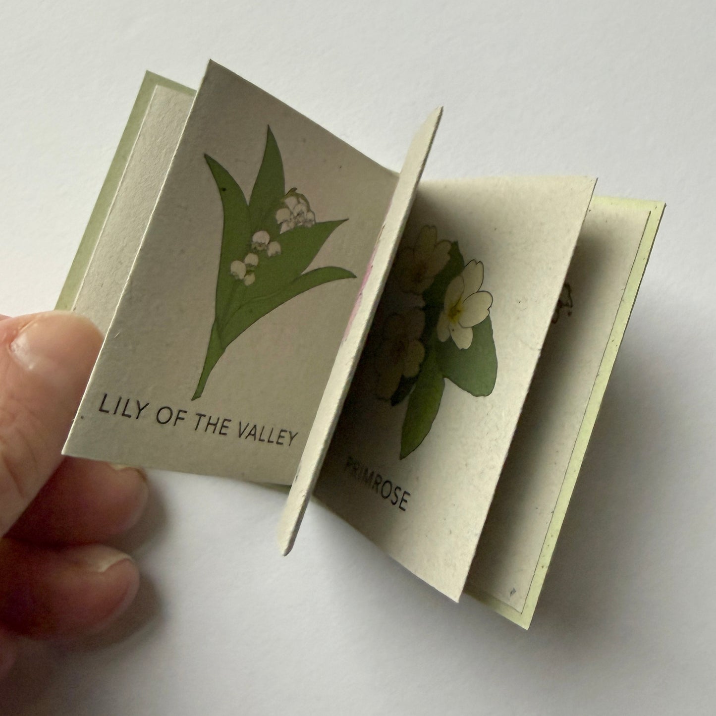 Small book with illustrations of lily of the valley and yarrow on a white background