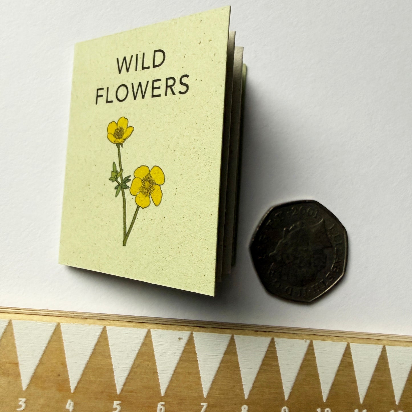 Small book titled 'Wild Flowers' with yellow flower illustration, with coin for scale