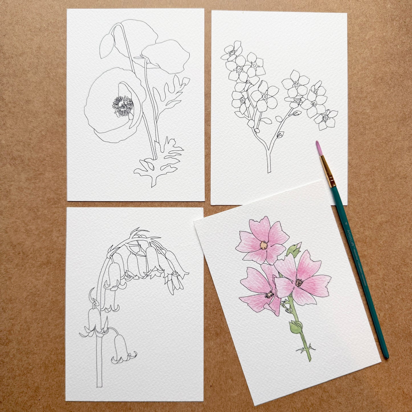 Wildflower Paint Your Own Watercolour set