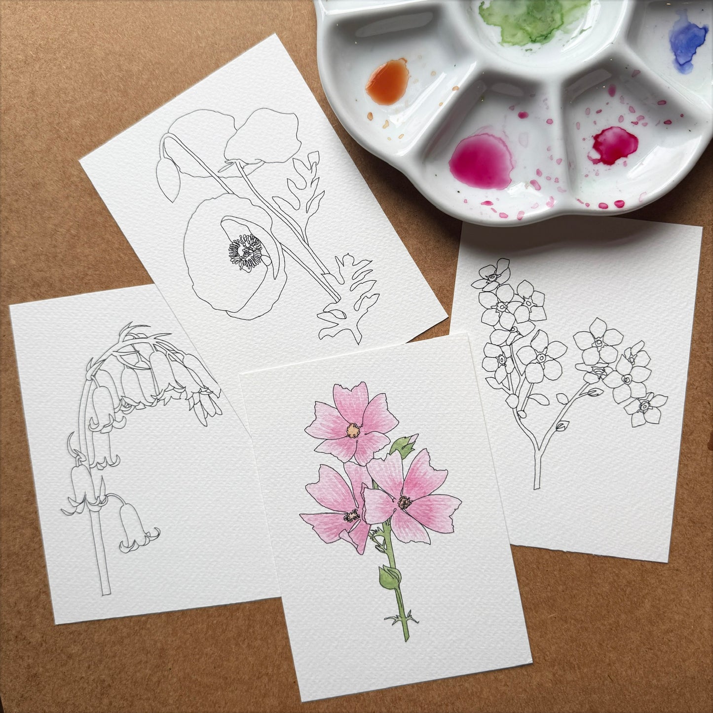 4 sheets of watercolour paper with black outlines of wild flowers printed on them, a paint palette and brush and one of the sheets has been painted with watercolour