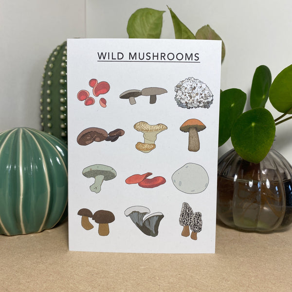 Wild Mushrooms Illustrated Card