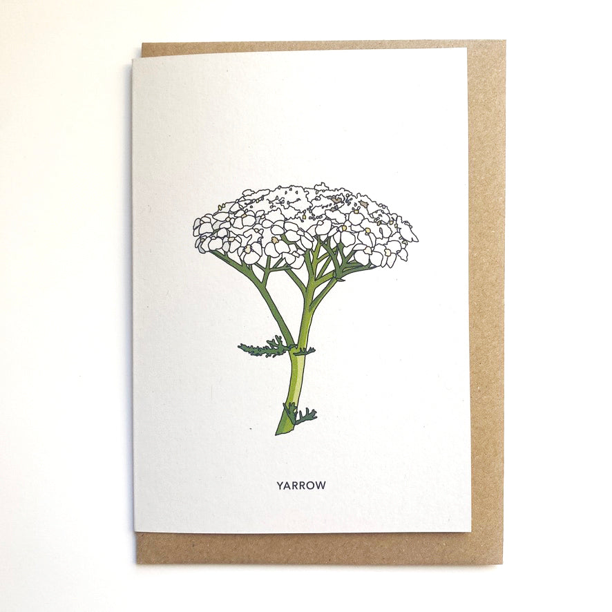 Wildflower Cards - katebroughton