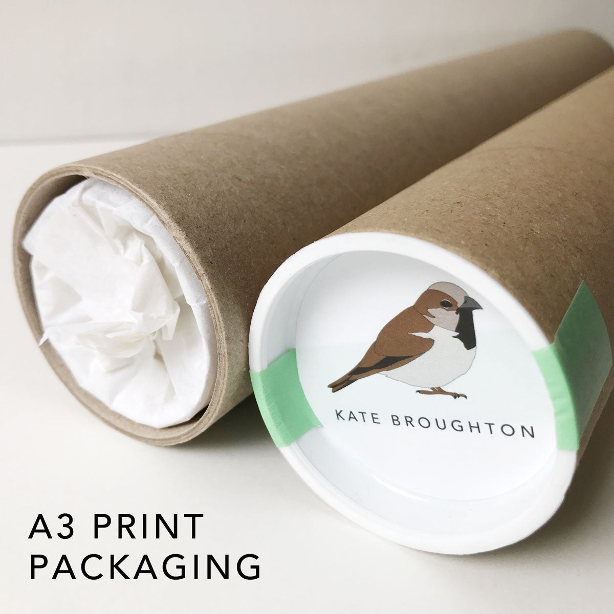 Howarthia Plant Print - katebroughton