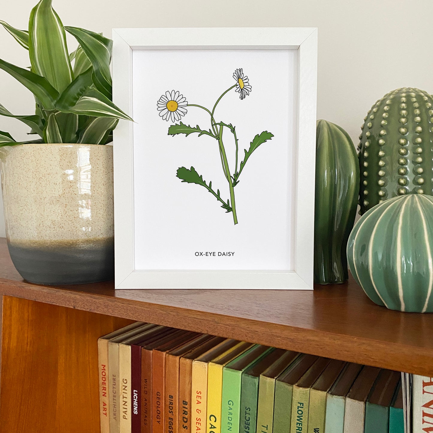 Ox-eye daisy wildflower print