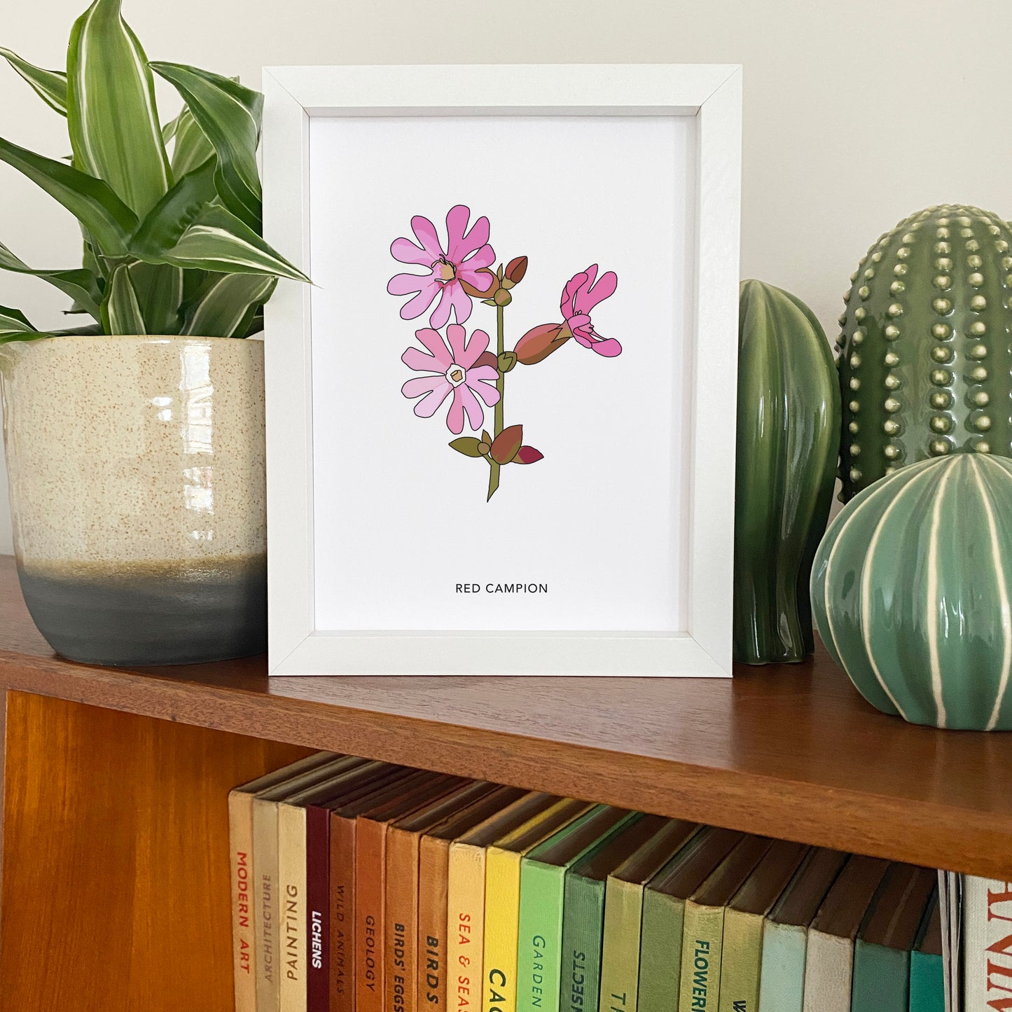 Red Campion wildflower print
