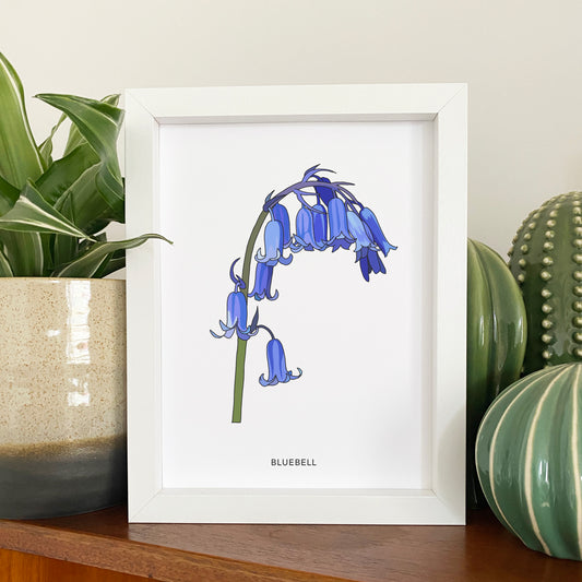 Bluebell wildflower print