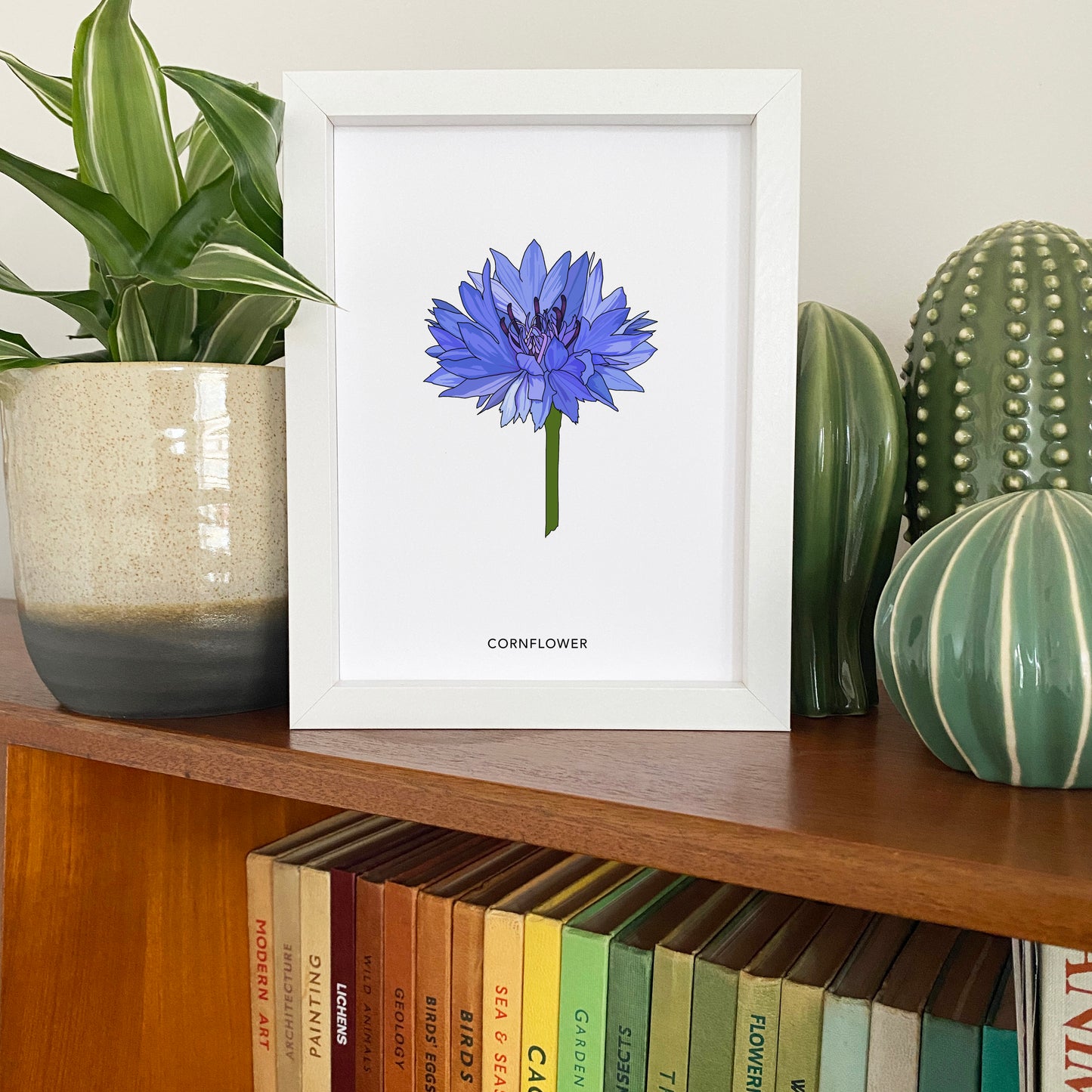 Cornflower wildflower print