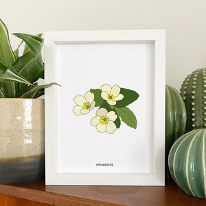 Primrose wildflower print