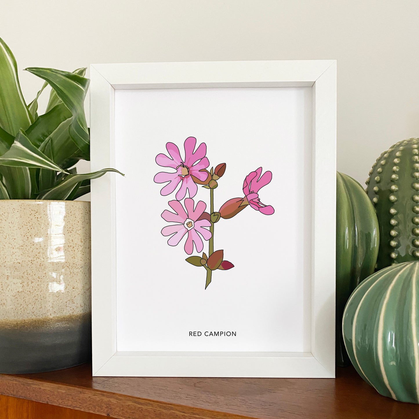 Red Campion wildflower print