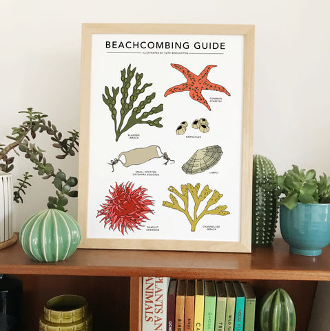 Beachcombing Guide Print