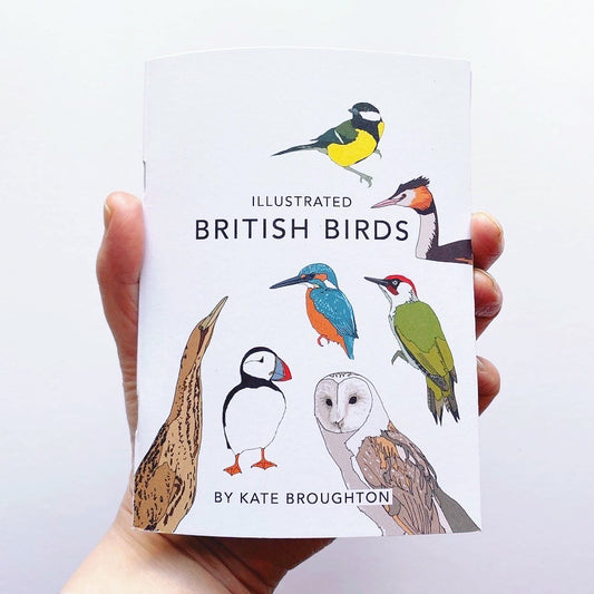 Illustrated British Birds book - katebroughton
