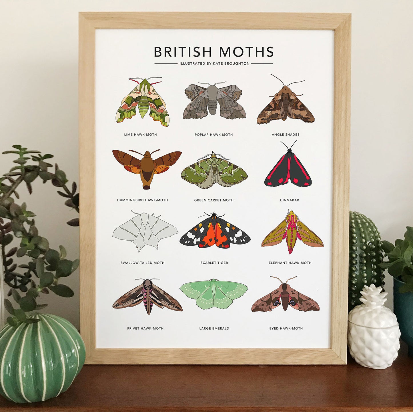 British Moths Print - katebroughton