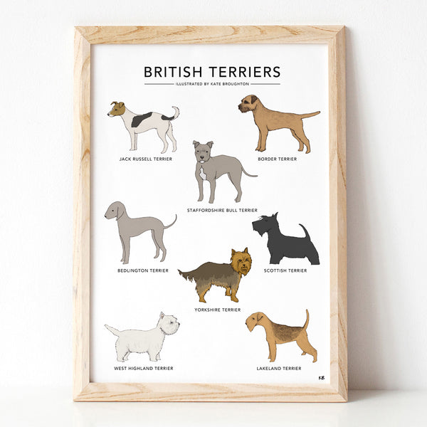 British Terriers Print