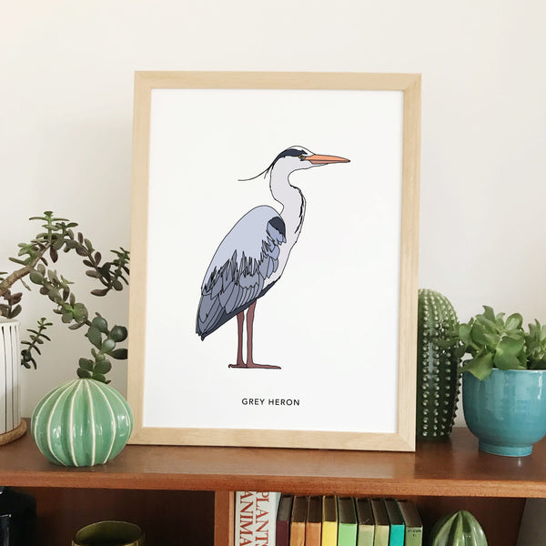 Grey Heron bird print
