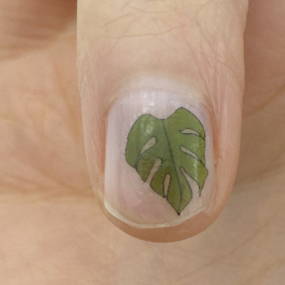 Monstera Nail Art Transfers - katebroughton