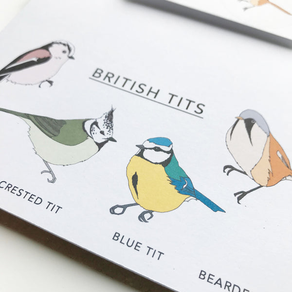 British Tits Writing Set