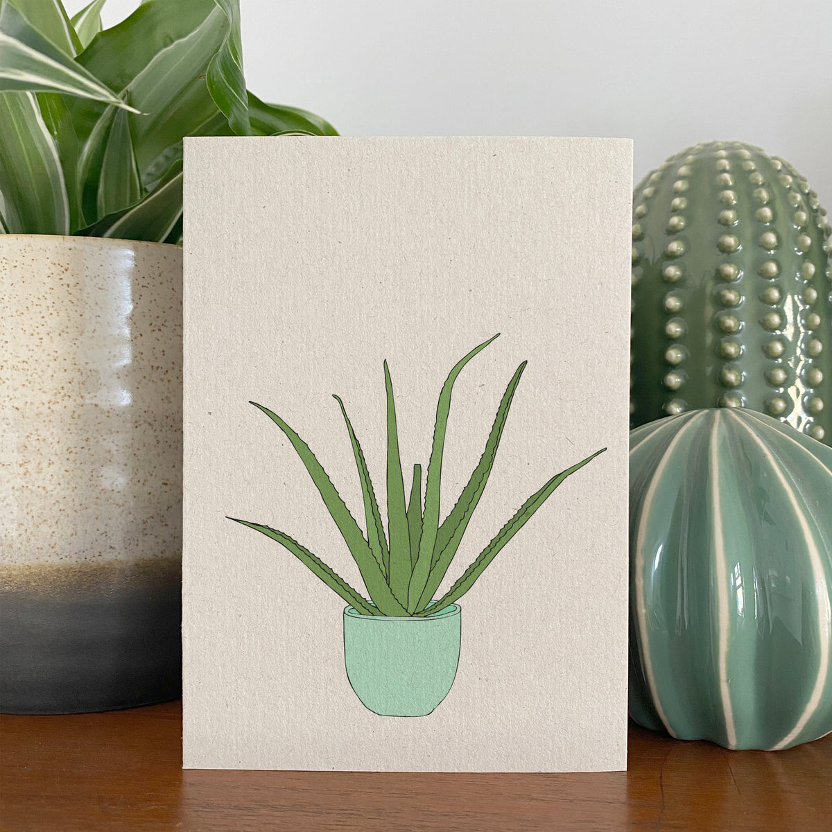 Aloe Vera Houseplant Card – katebroughton