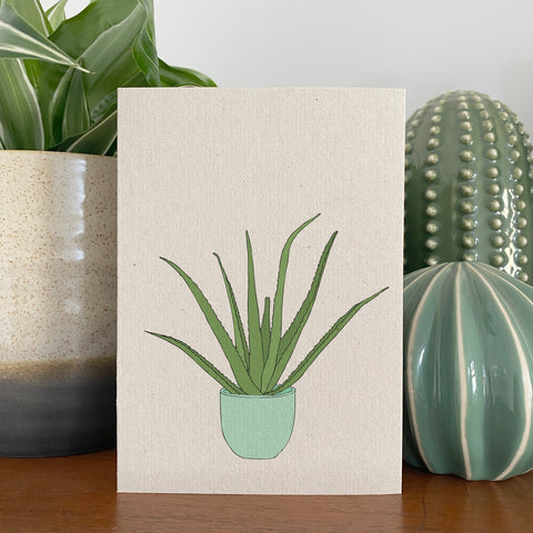 Aloe Vera Houseplant Card
