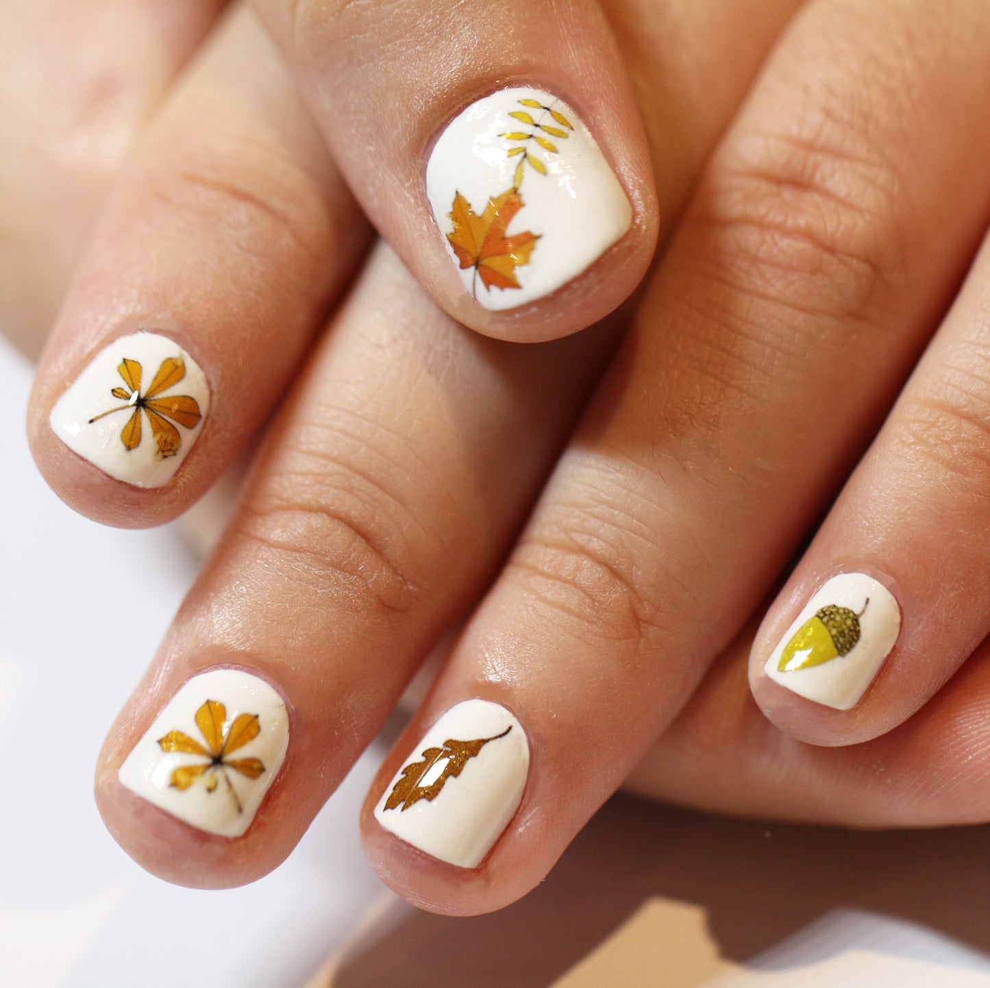 Autumn Leaf Nail Art Transfers - katebroughton