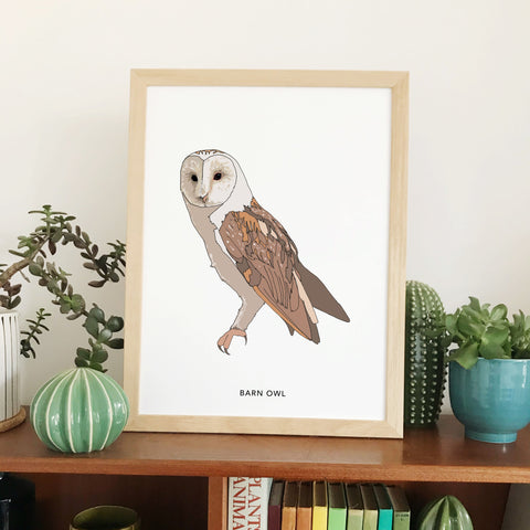 Barn Owl bird print