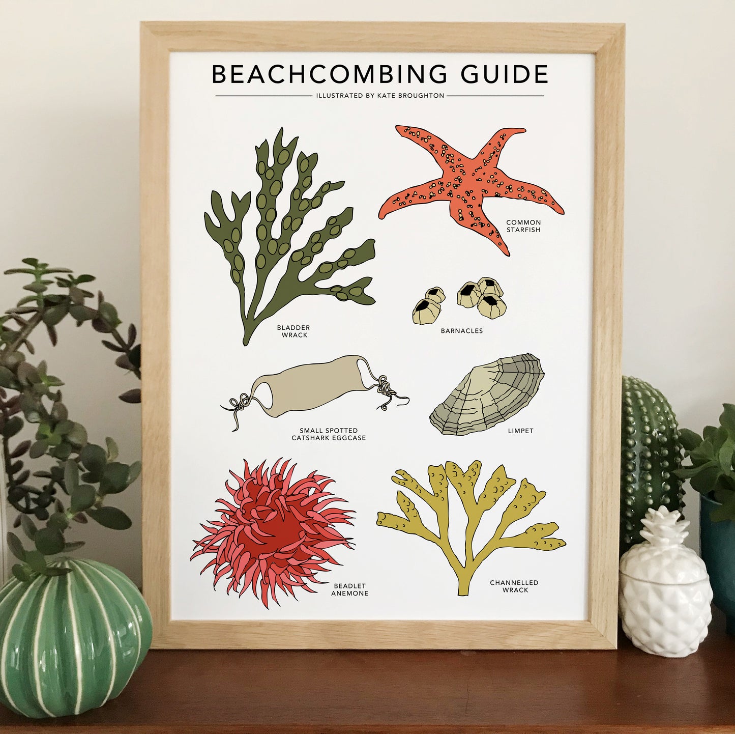 Beachcombing Guide Print