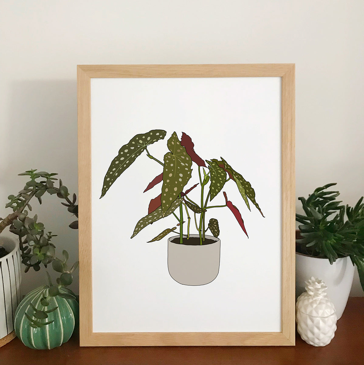 Begonia Maculata Plant Print - katebroughton