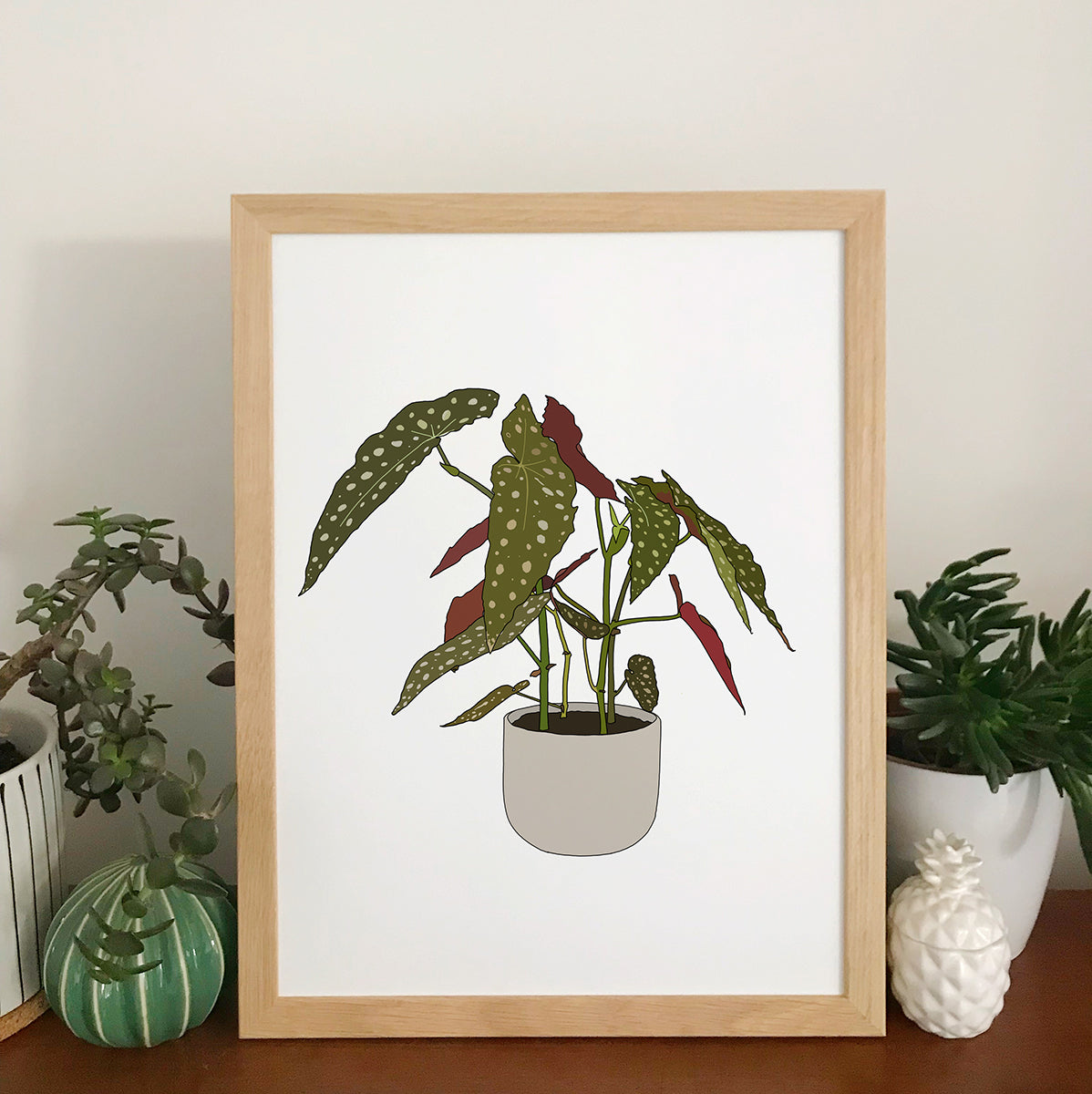 Begonia Maculata Plant Print