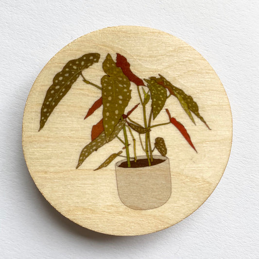 Begonia plant wooden brooch