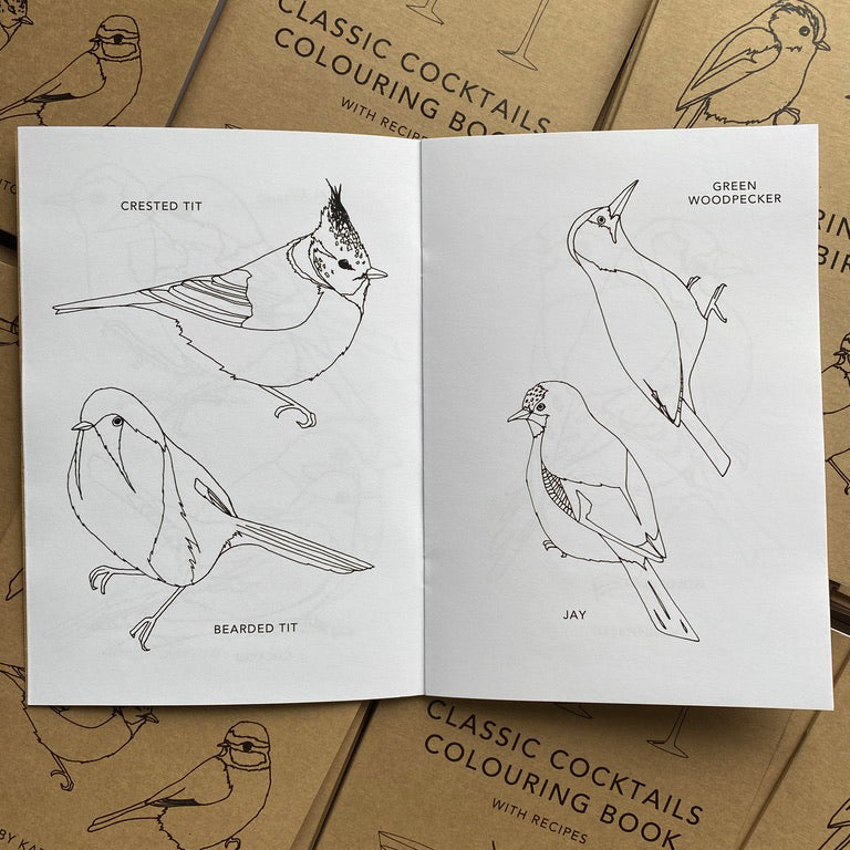 Colouring Book of Birds