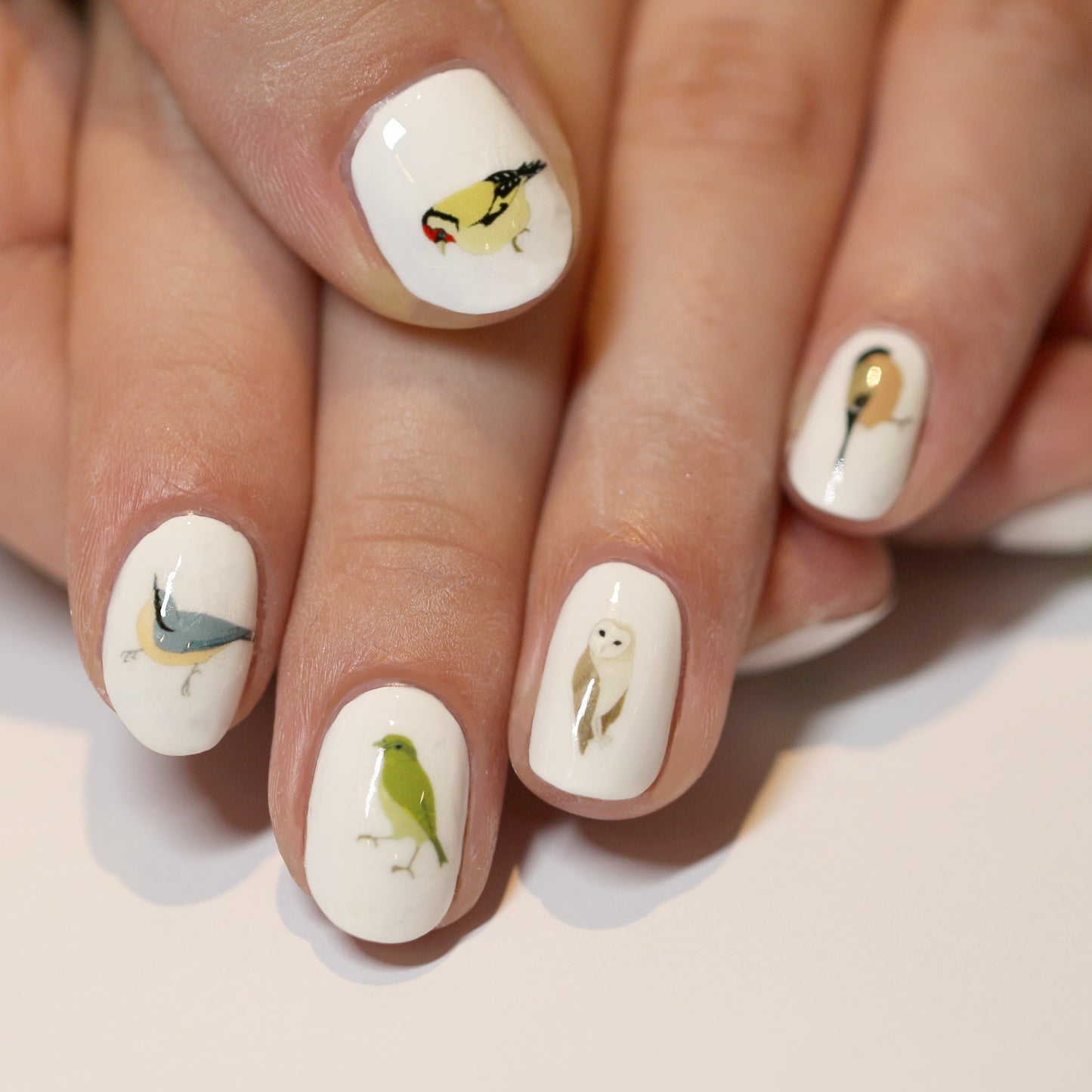 Bird Nail Art Transfers on white nails- katebroughton