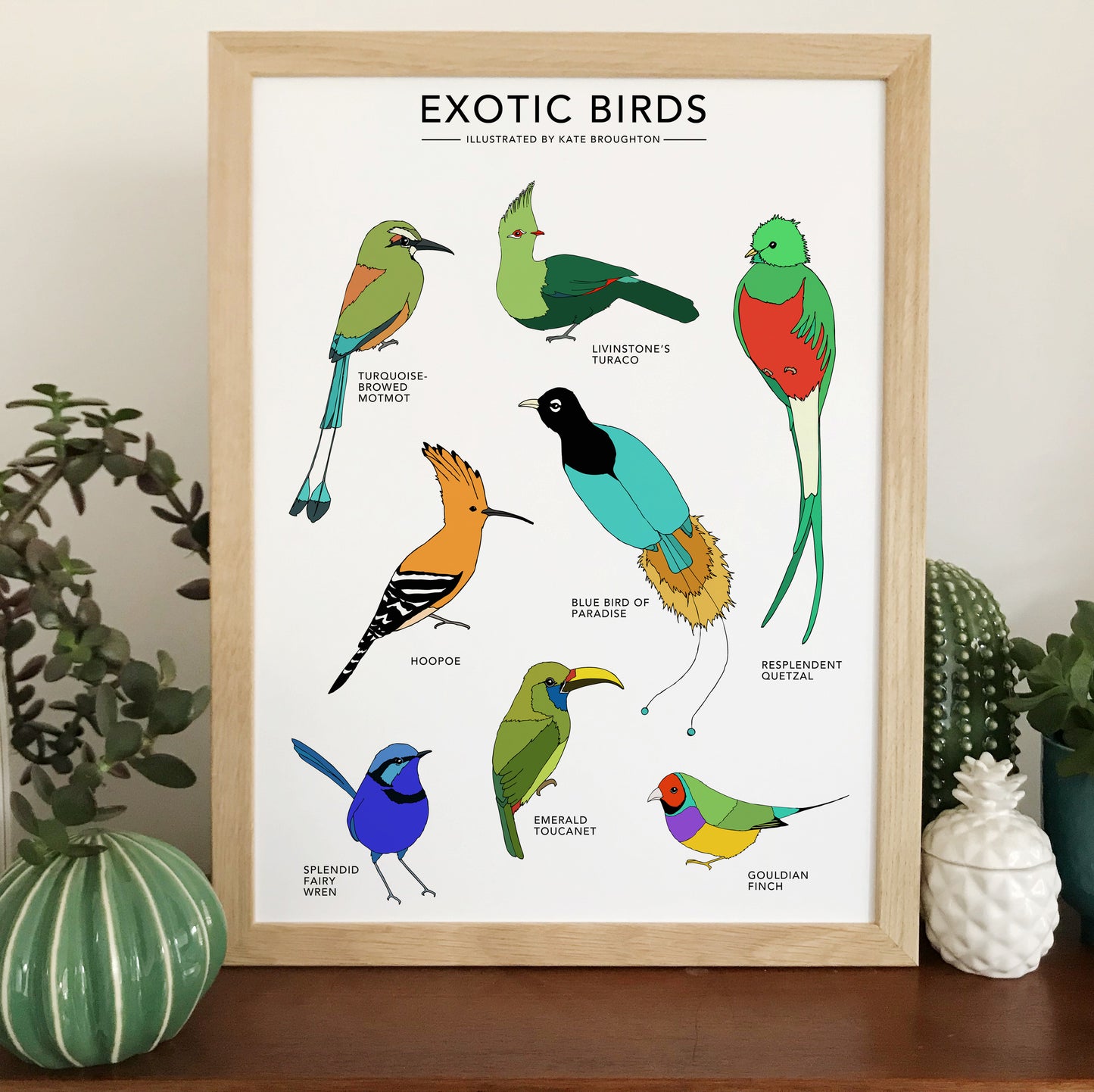 Exotic Birds Print - katebroughton