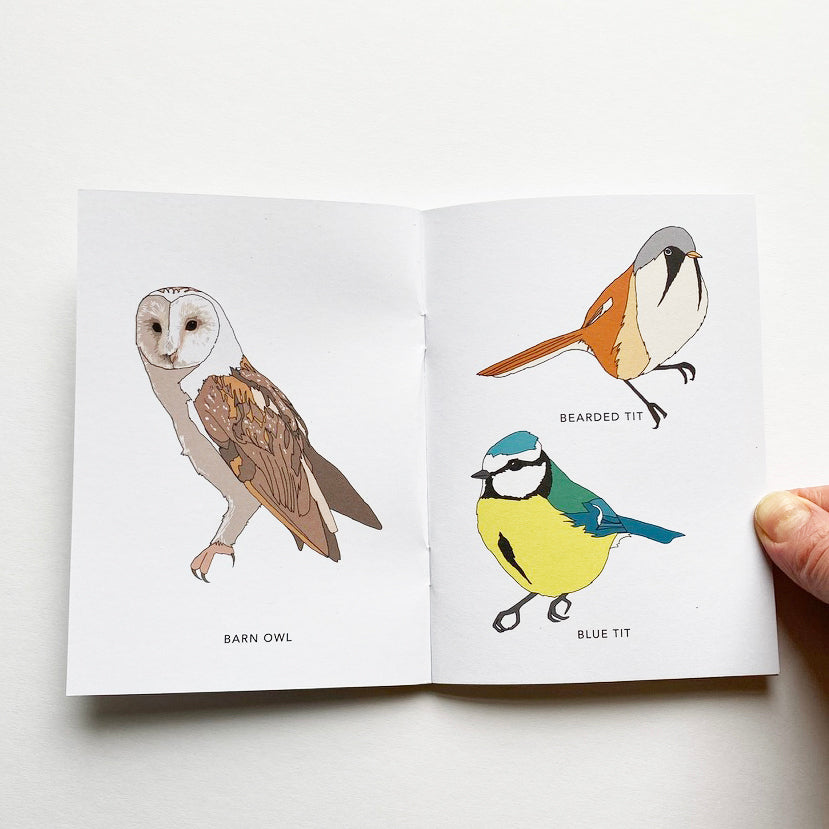 Illustrated British Birds book