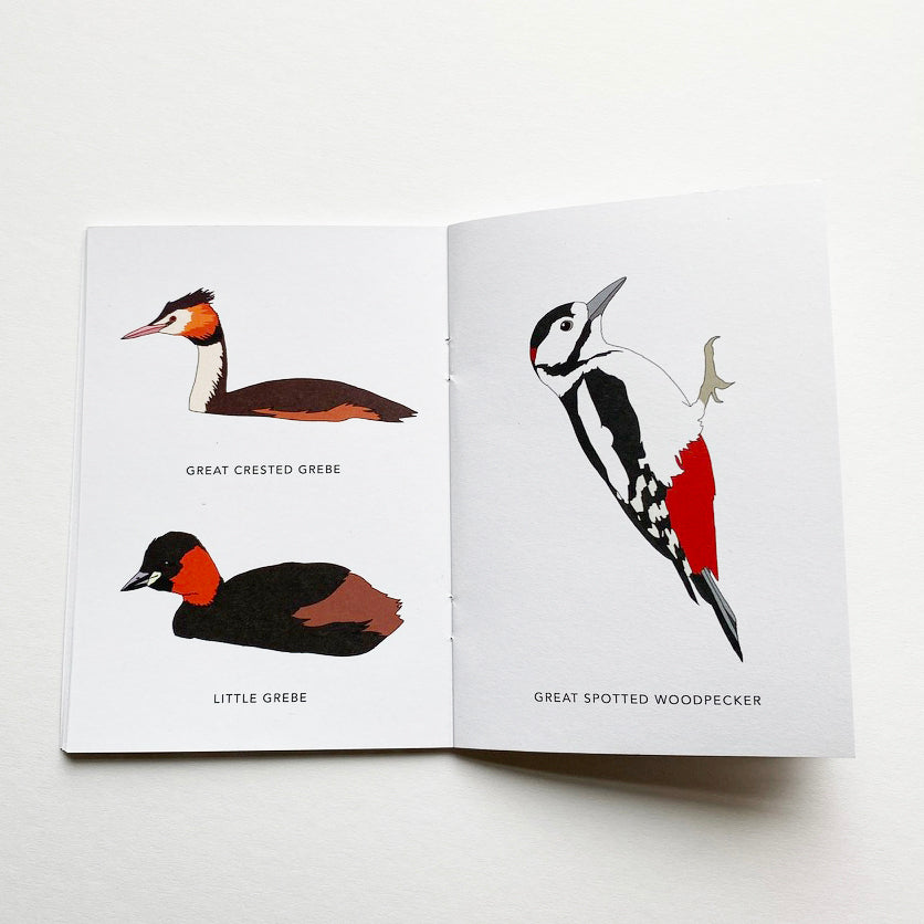 Illustrated British Birds book