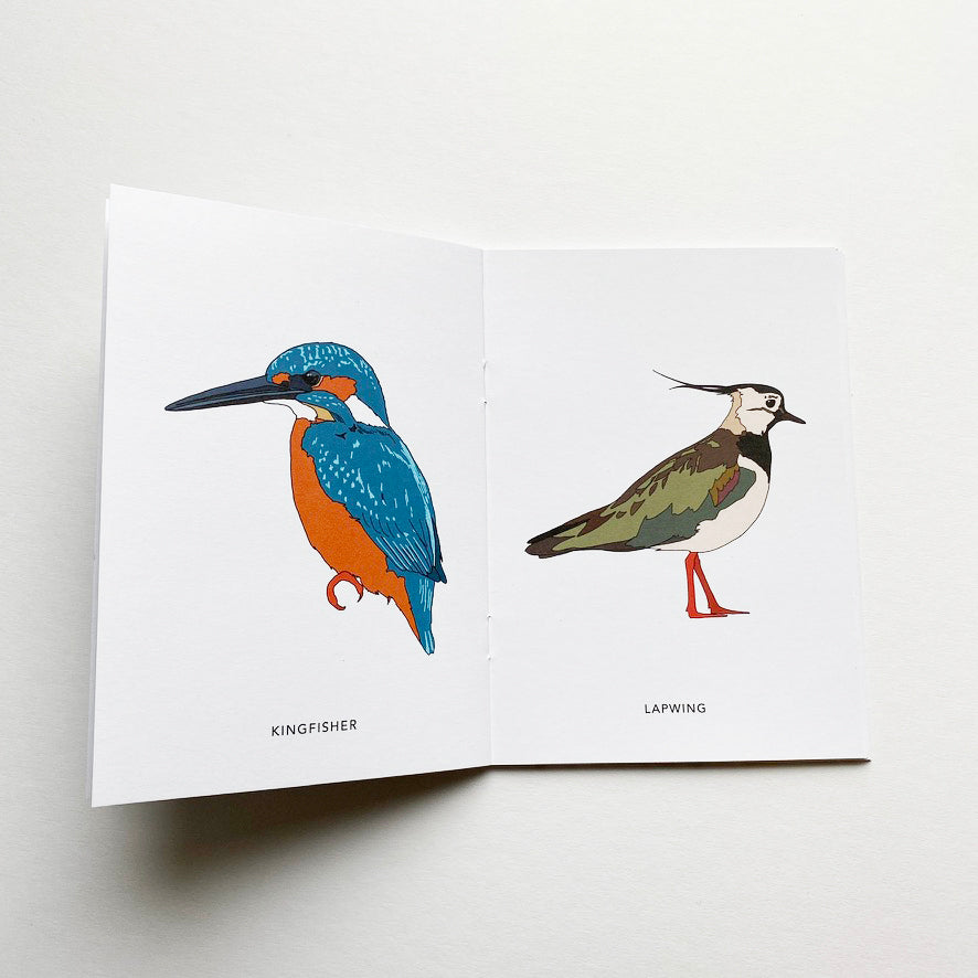 Illustrated British Birds book