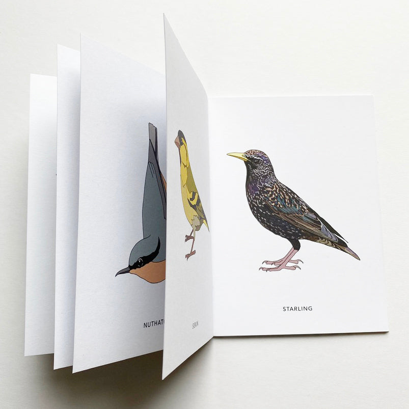 Illustrated British Birds book